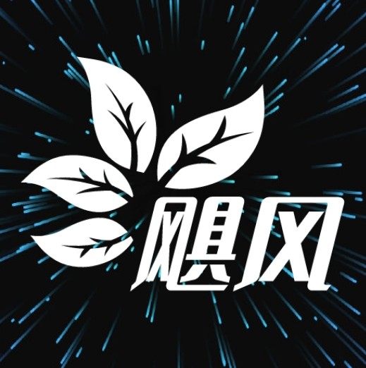 初色cs11下载安装官网